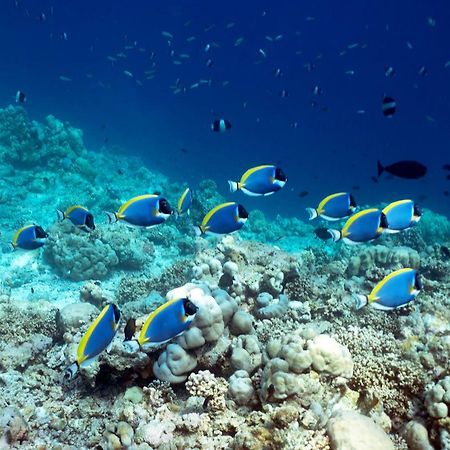 Ocean Village Maldives Holhudhoo Buitenkant foto