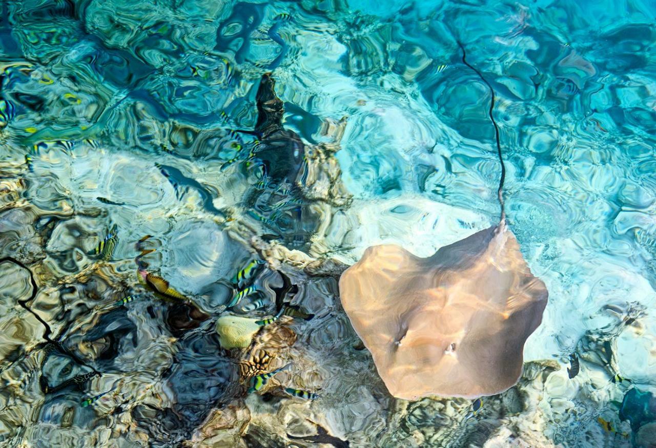 Ocean Village Maldives Holhudhoo Buitenkant foto