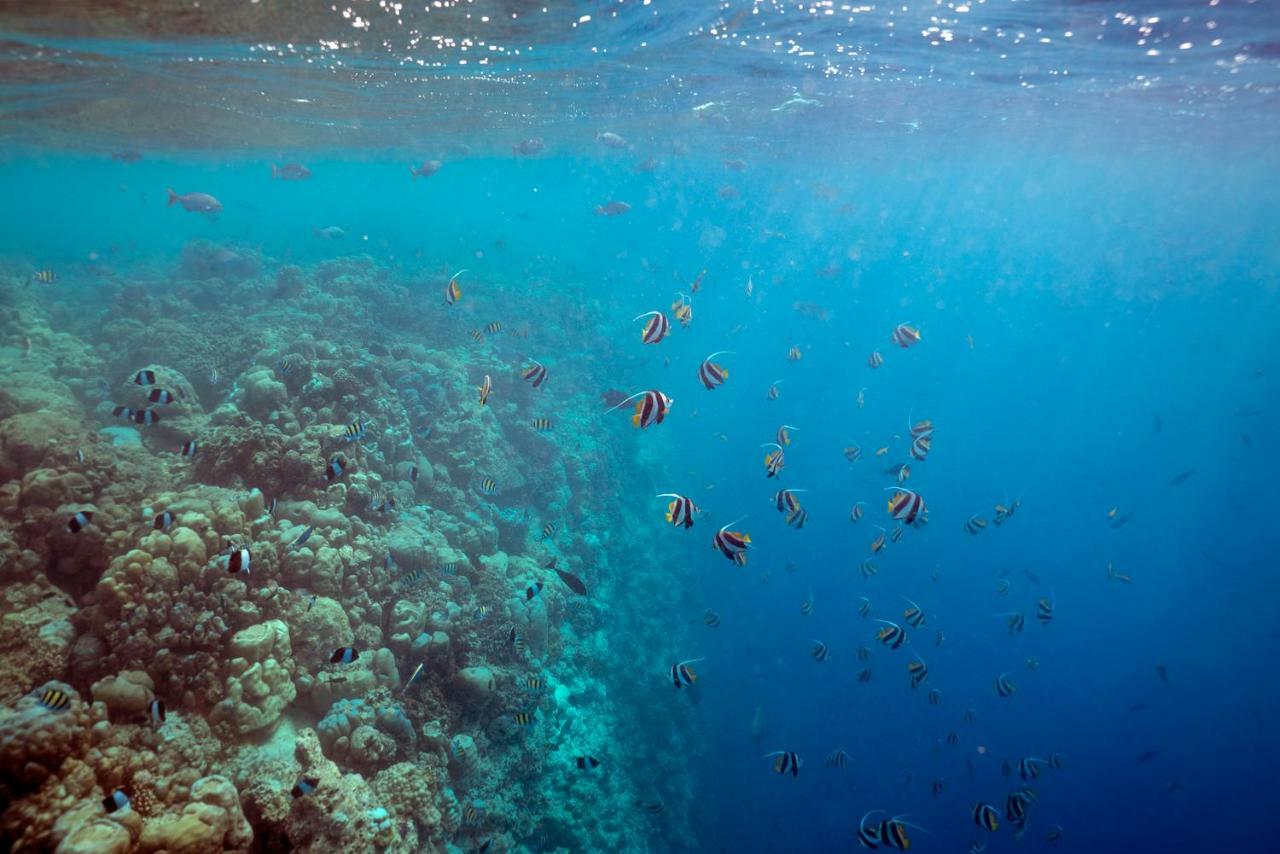 Ocean Village Maldives Holhudhoo Buitenkant foto